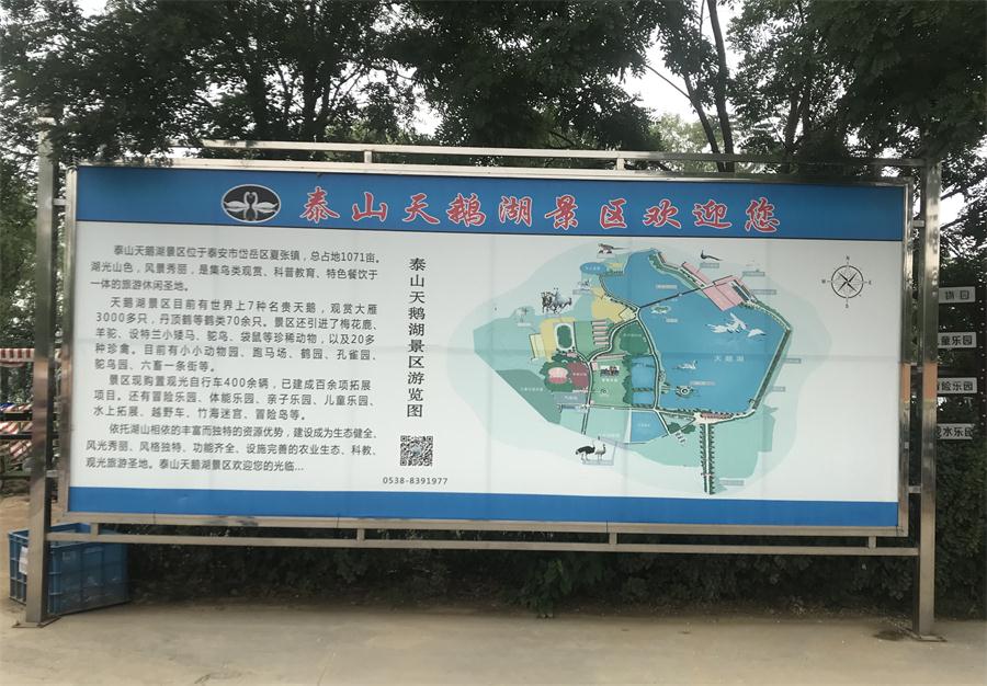 天鵝湖風(fēng)景區(qū)（泰山）速覽！(圖2)