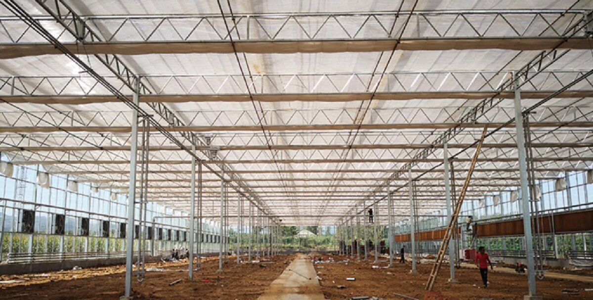 信橋鋼構(gòu)：打卡蒙陰農(nóng)業(yè)溫室大棚、青州黑牛養(yǎng)殖基地！(圖3)